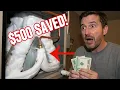 Your AC is FROZEN SOLID Here s the 5-Minute Fix That Saves 500