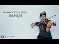 Download Lagu Seroja - Violin cover | By Baiim Biola