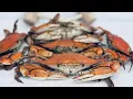 Dirty Dicks Crab House Restaurant