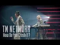 Download Lagu TM NETWORK｜Get Wild（from How Do You Crash It？） MP3