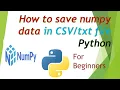 How to save array in Python for beginners numpy savetxt