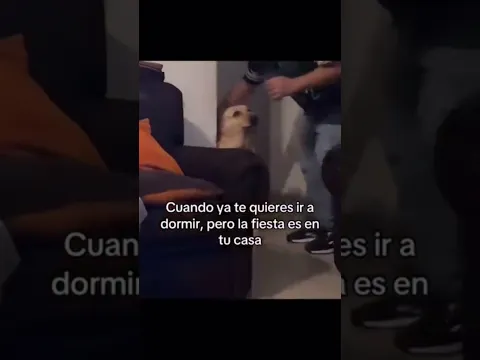 Confirmen🗣️#humor#meme#viral#short#parati