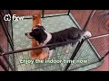 FXW Homeplus Dog Playpen Indoor Comfort Easy Cleaning for Dogs