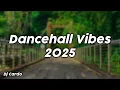 Download Lagu Dancehall Vibes 2025 (clean) - Dj Cardo