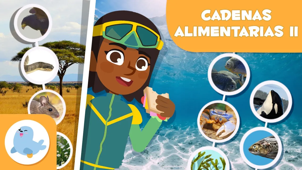 CADENAS ALIMENTARIAS para niños 🌱⬅🐝⬅🐦⬅🐺 Terrestres y acuáticas 🌼 Episodio 2