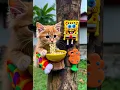 Biasalah #cat #kartunkucing #funny