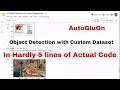 Object Detection Model on Custom Dataset