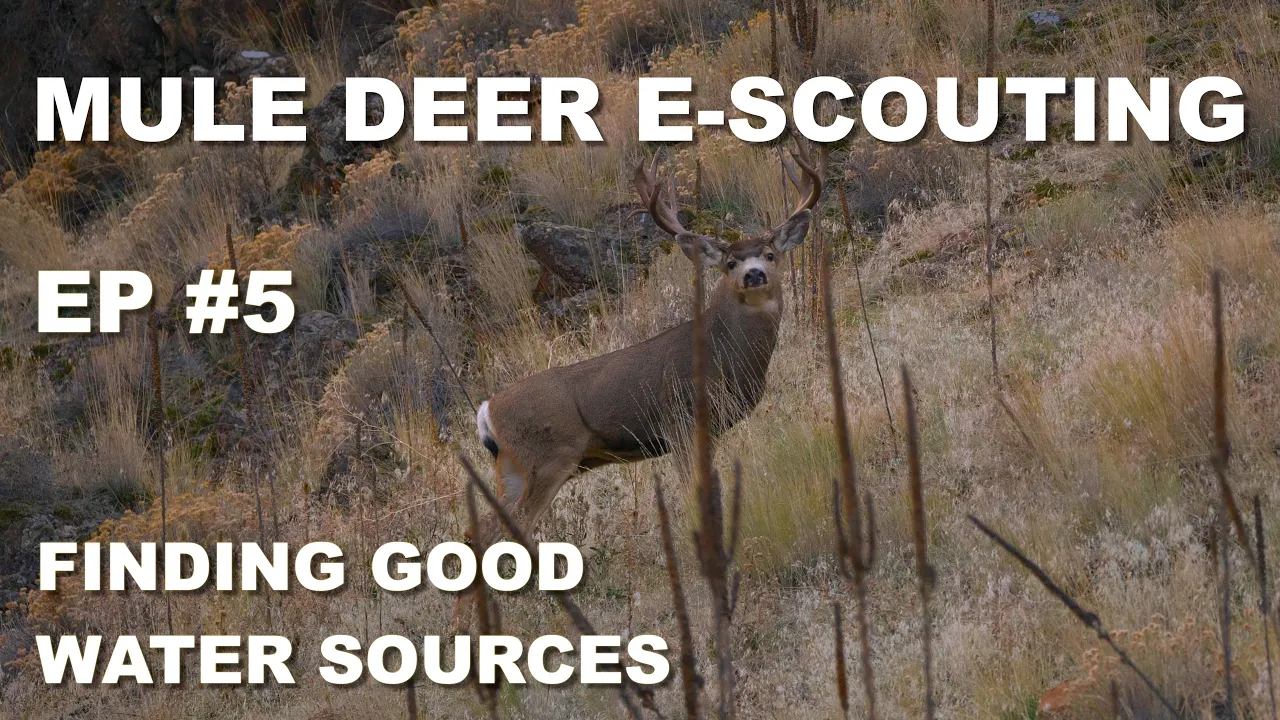 E-SCOUTING FOR MULE DEER: LOCATING WATER SOURCES - EP5