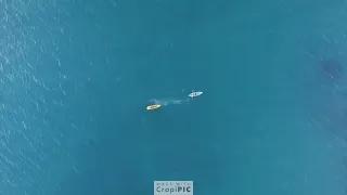 dj quads missing someone