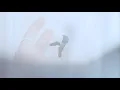 Justin Nozuka & Mahalia - No One But You (Visualizer)