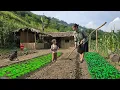 Download Lagu Single mother improves land, expands vegetable growing area to improve life