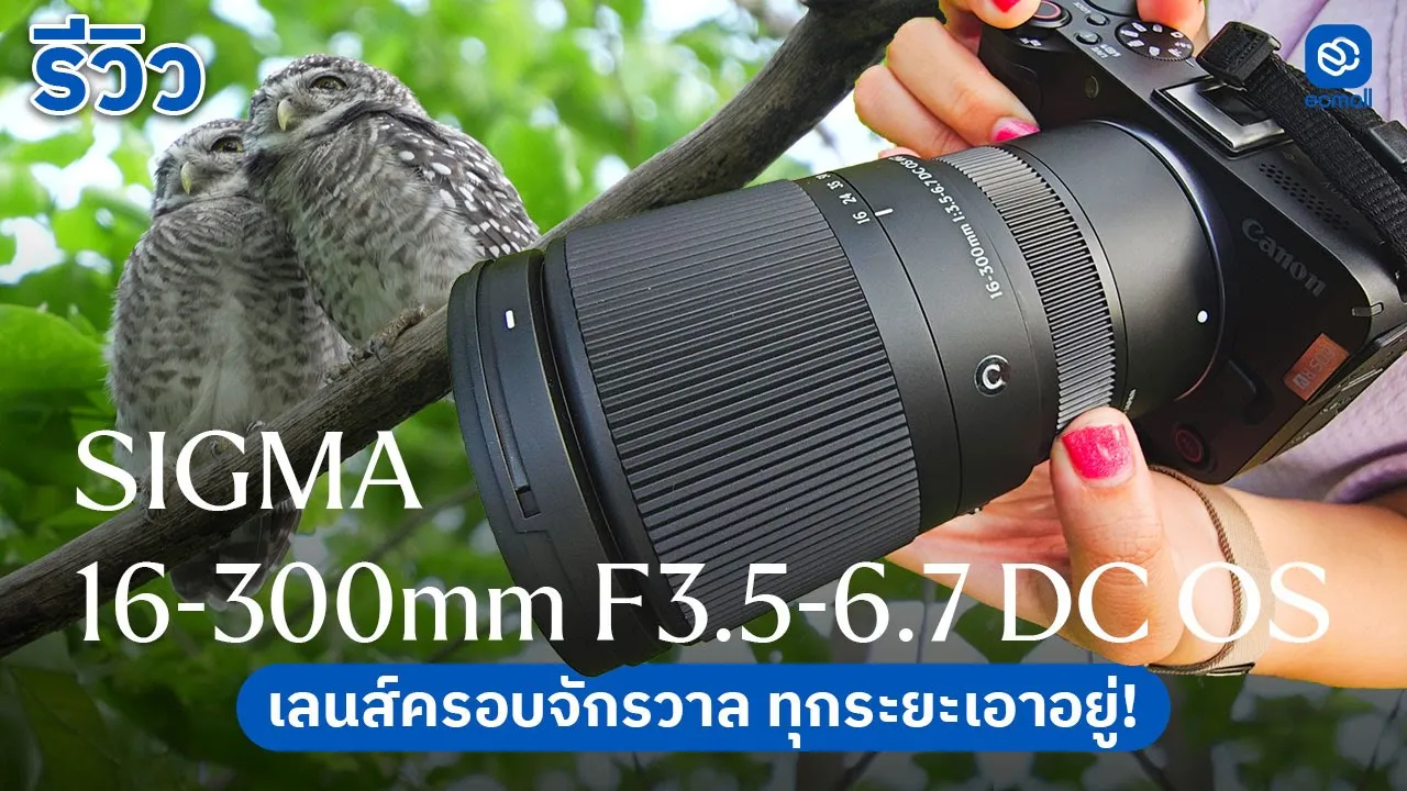 Youtube video vT0kwLJk7CU 