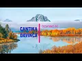 Download Lagu Cantika Davinca   Sesayang Ini Kau Tipu Jua