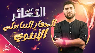17 شرح الجهاز التناسلى الانثوى ودورة الطمث الإخصاب والحمل 