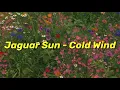Download Lagu Jaguar Sun - Cold Wind [indie rock/Indie Pop Rocks]