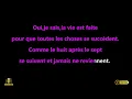 ESTL - Te rencontrer encore (Karaoke) Lower Key