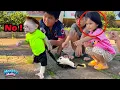 Download Lagu Monkey Molly Got into Big Trouble After Running Away from Home!