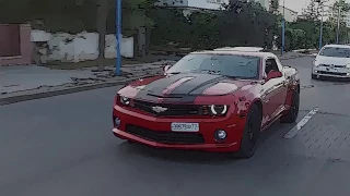                                                                         دندنها