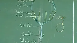 الأحياء الدرس 8 التكاثر الجنسي في الحشرات 