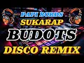 Download Lagu PAPI BORDS , SUKARAP, BUDOTS  DISCO REMIX