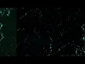 HAAi - Technology (Official Audio)