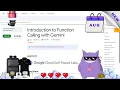 Introduction to Function Calling with Gemini