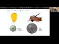 The Organization of Elements in the Periodic Table Power Point Slide Show