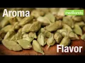 Inside the Cardamom Powder Manufacturing Process | Factory Tour