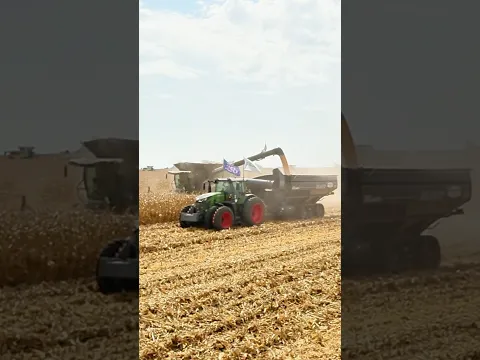 Corn Harvest with Team Fendt