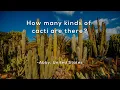 How many kinds of cacti are there