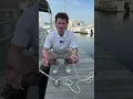 How to Flemish a Boat Line