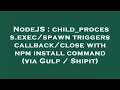 NodeJS child - process triggers with npm install command via Gulp Shipi