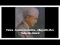 Manuel Ponce - Sonata Romântica - Allegretto Vivo - Tadeu do Amaral
