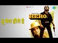 तू मेरा हीरो है | Hero | Anuradha Paudwal | Manhar Udhas Songs | Jackie Shroff