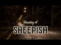 What is the meaning of Sheepish?