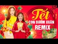 Download Lagu NHẠC XUÂN REMIX - Lk Con Bướm Xuân, Mùa Xuân Ơi - Nhạc Tết Dj Không Quảng Cáo Mở Càng To Càng Sướng