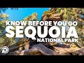 THINGS TO KNOW BEFORE YOU GO TO SEQUOIA NATIONAL PARK