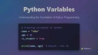 Python Variables for Beginners A Comprehensive Guide