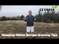CZ Grain Planting Willow Outdoors tips and tricks