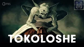 blame the tokoloshe south africa s most notorious goblin