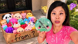 Who Sent Us DANGEROUS Viral Squishies??