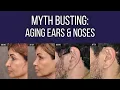 Myth Busting Aging Noses Ears Dr Ben Talei Beverly Hills Plastic Surgeon