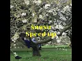 รักแรก (First Love) Ost.รักแรกโคตรลืมยาก My Precious - NONT TANONT (Speed up)