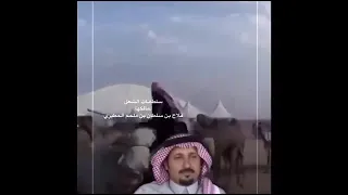 سلطانات الشعل منقيه فلاح بن سلطان بن ملحم المطيري كلمات وتصميم الشاعر عبدالله سعود السمدان  سلطانات الشعل منقيه فلاح بن سلطان بن ملحم المطيري كلمات وتصميم الشاعر عبدالله سعود السمدان