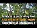 Download Lagu Don kiba bam hynrei kim tip pat u long dawai uba khlain bha / peit hha wat skip sa shna hi 