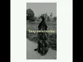Download Lagu Tanya  hatiku 😓 cove pasto, nabila suaka