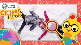 A Closer Look at Sounds in Nature | Baby Einstein | Learning Show for Toddlers | Education for Kids