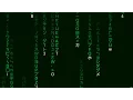 How to code the Matrix effect in Processing