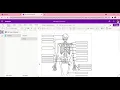 Lesson 2 OneNote Part 1