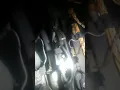 2007 bmw 335i code 30ff no boost